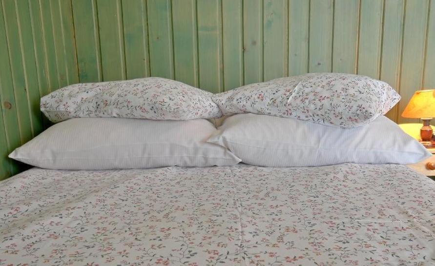 Willa Anna Zakopane Room photo